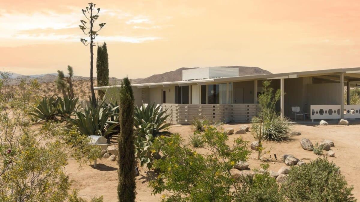 The Bungalows By Homestead Modern Joshua Tree Esterno foto