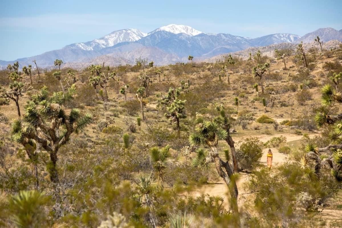 The Bungalows By Homestead Modern Joshua Tree Esterno foto